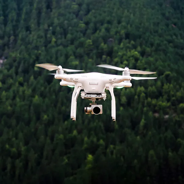 The aircraft, mid-flight over forest canopy